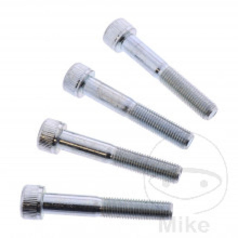 Accossato Bevestiging voor 60 mm radiale remklauwen